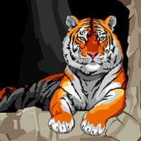 Срисовки тигр - распечатать, скачать бесплатно