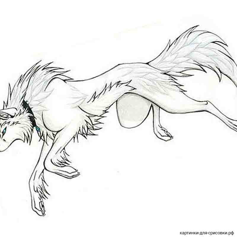 волчица аниме животное - распечатать, скачать бесплатно