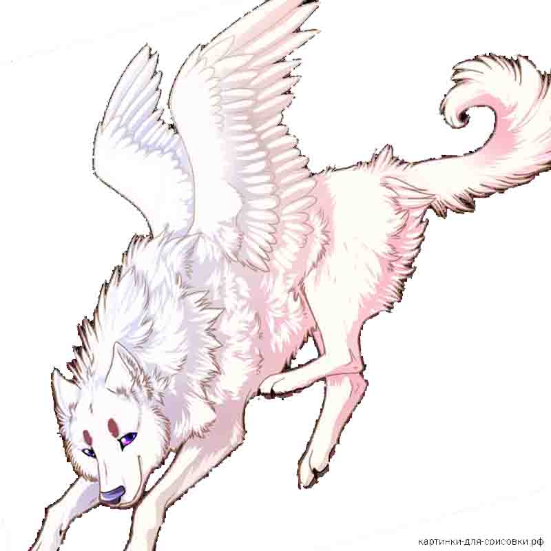волк с крыльями животное аниме - распечатать, скачать бесплатно