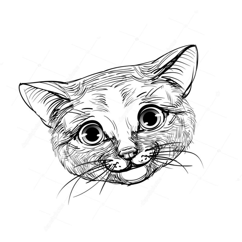 Черно белые картинки для распечатки коты