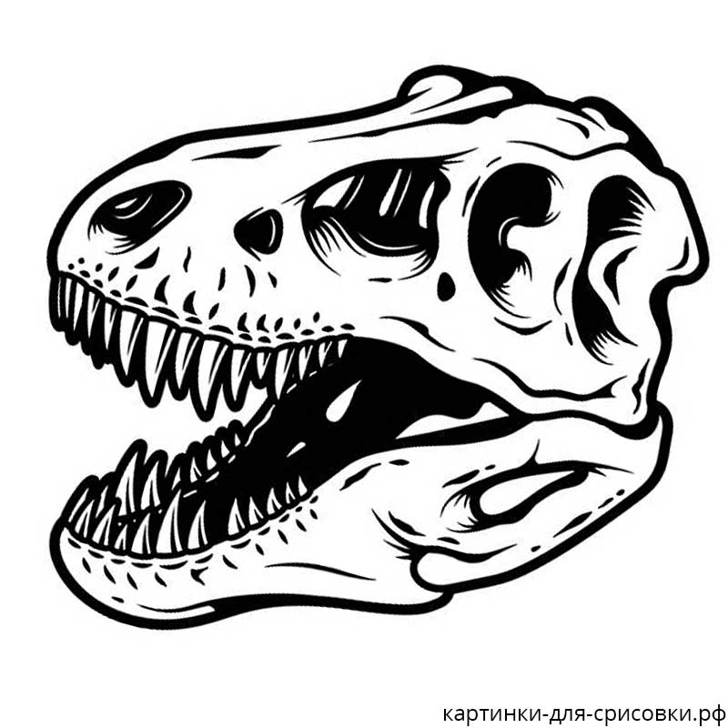 череп тираннозавра рекс - распечатать, скачать бесплатно