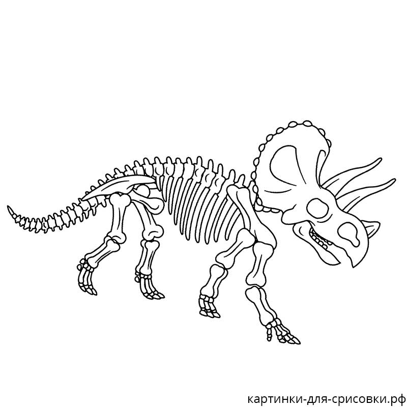 скелет кости динозавра - распечатать, скачать бесплатно