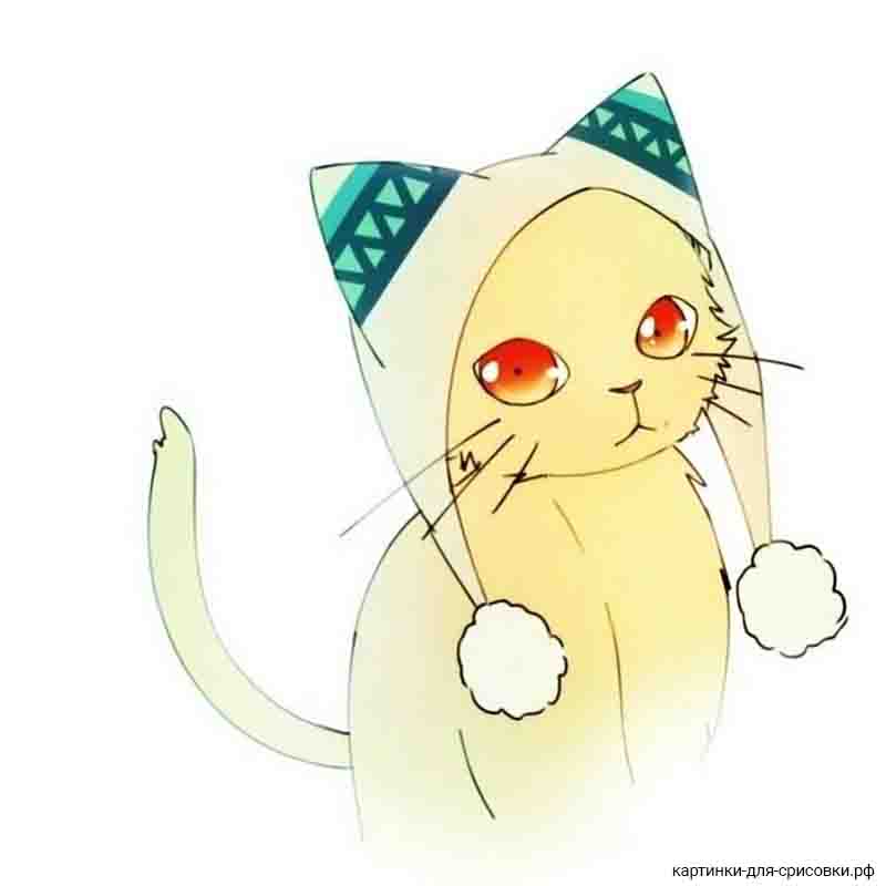 кошка аниме с милой шапкой - распечатать, скачать бесплатно