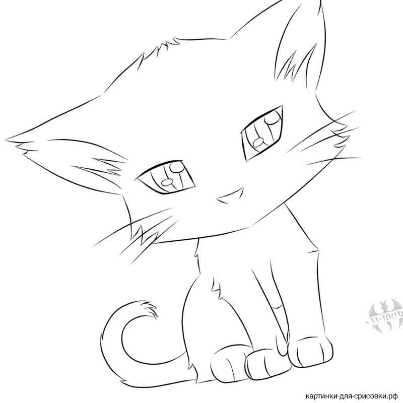 кошка аниме с милыми глазами - распечатать, скачать бесплатно