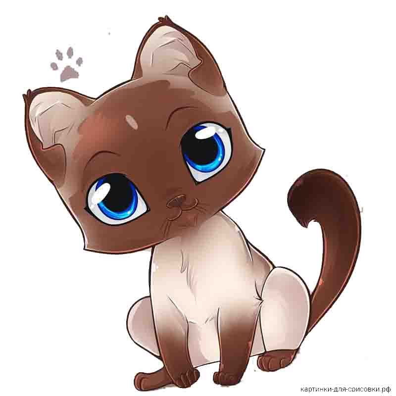 смуглая кошка аниме - распечатать, скачать бесплатно