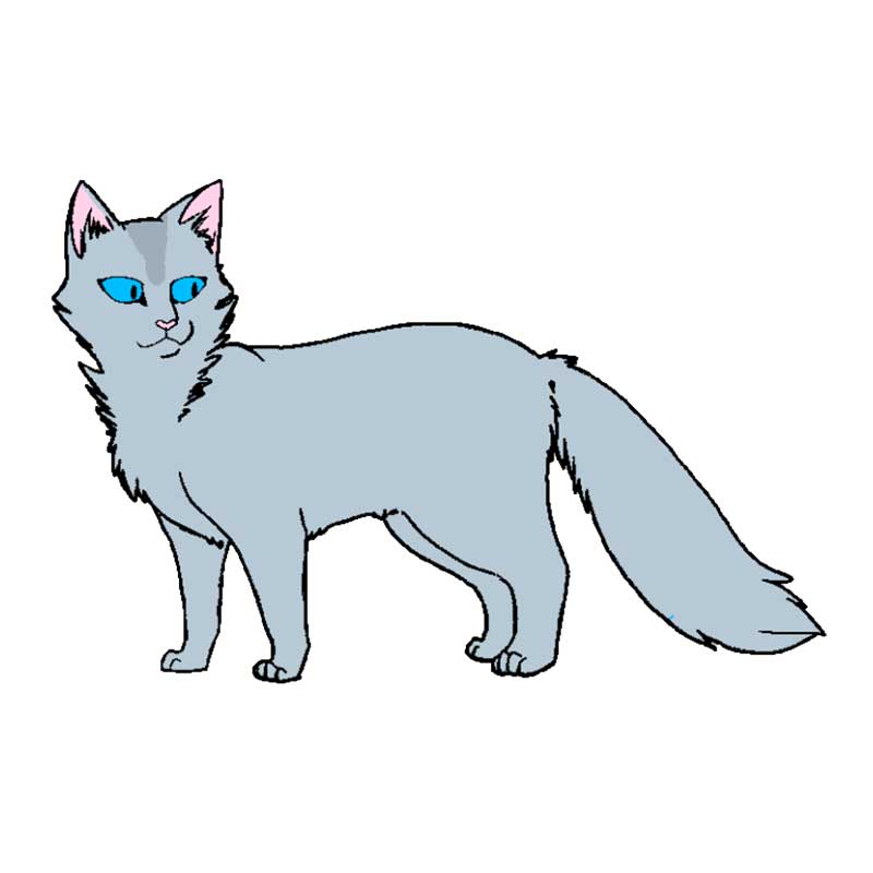 серо-голубая кошка - распечатать, скачать бесплатно