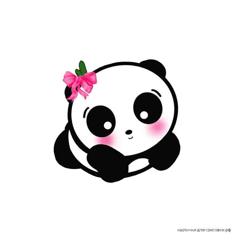 красивая мимимишная панда - распечатать, скачать бесплатно