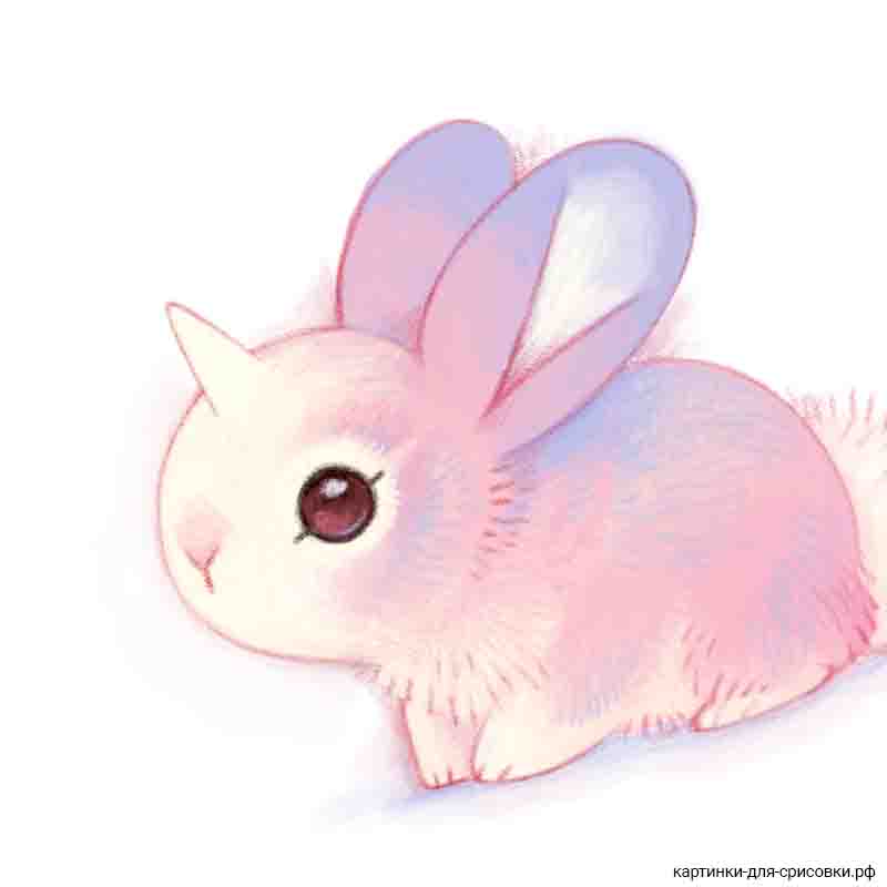 мимимишный розовый кролик - распечатать, скачать бесплатно