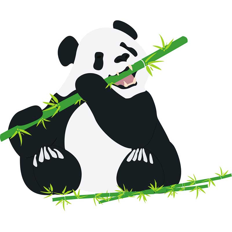 панда ест бамбук - распечатать, скачать бесплатно