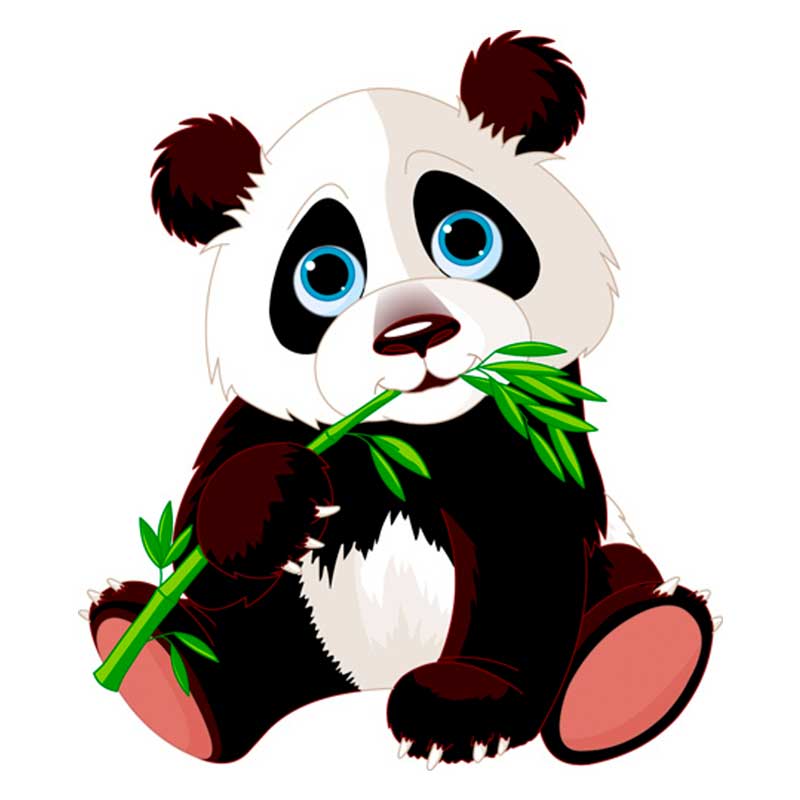 панда ест травку - распечатать, скачать бесплатно