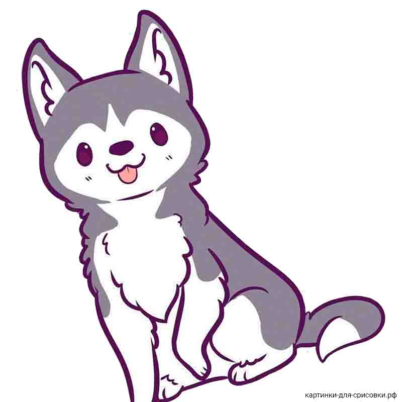 маленькая улыбающаяся собака аниме - распечатать, скачать бесплатно