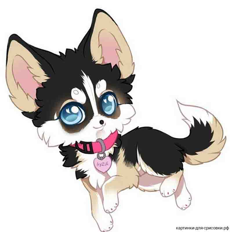 собака аниме с голубыми глазами - распечатать, скачать бесплатно
