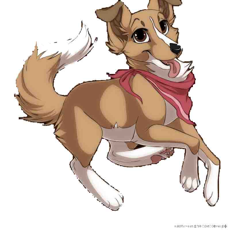 собака аниме с повязкой на шее - распечатать, скачать бесплатно