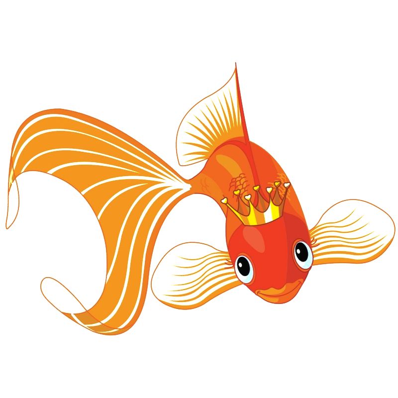 Карта золотая рыбка. Золотая рыбка с короной рыбка. Золотая рыбка для срисовки. Золотая рыбка рисунок. Рыба с золотой короной.